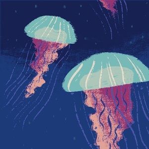 Meet your Posher, Lillian